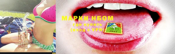 гидра Гусиноозёрск