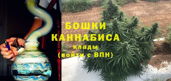 гидра Гусиноозёрск