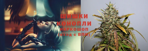 сатива Гусь-Хрустальный