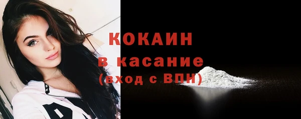 сатива Гусь-Хрустальный