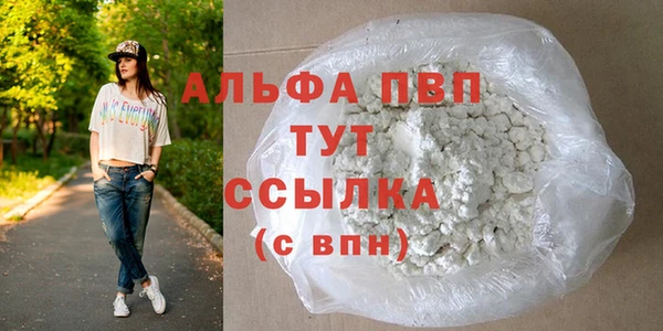 сатива Гусь-Хрустальный