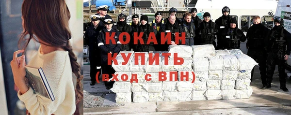 сатива Гусь-Хрустальный