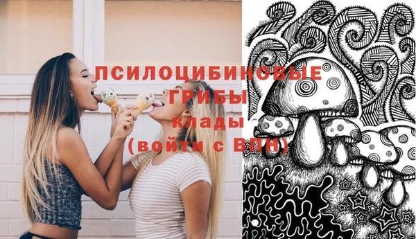 сатива Гусь-Хрустальный