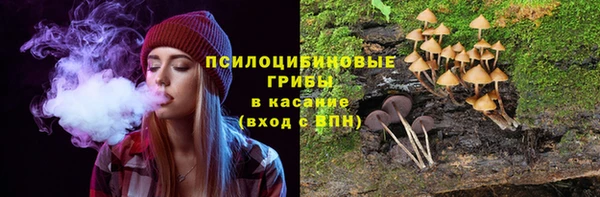 COCAINE Гусев