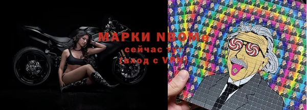 сатива Гусь-Хрустальный