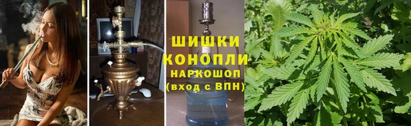 гидра Гусиноозёрск