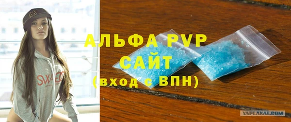 сатива Гусь-Хрустальный